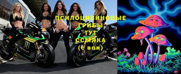 jwh Богданович