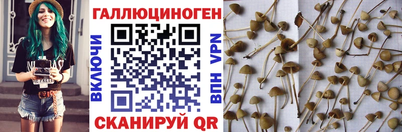 Галлюциногенные грибы мицелий Хабаровск